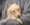 Kennel Club Assured Breeder