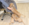 Kennel Club Assured Breeder