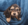 Pure Pedigree Kennel Club Five Star License