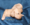 Pure Pedigree Kennel Club Five Star License