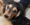 Pure Pedigree Kennel Club Five Star License
