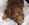 Pure Pedigree Kennel Club Five Star License