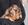 Pure Pedigree Kennel Club Five Star License